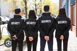 Especialización en seguridad privada