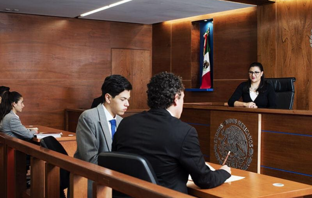 Curso etapa de juicio