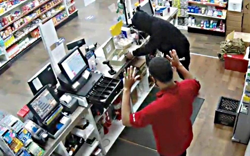 Prevención y Manejo de Robos y Asaltos en Comercios